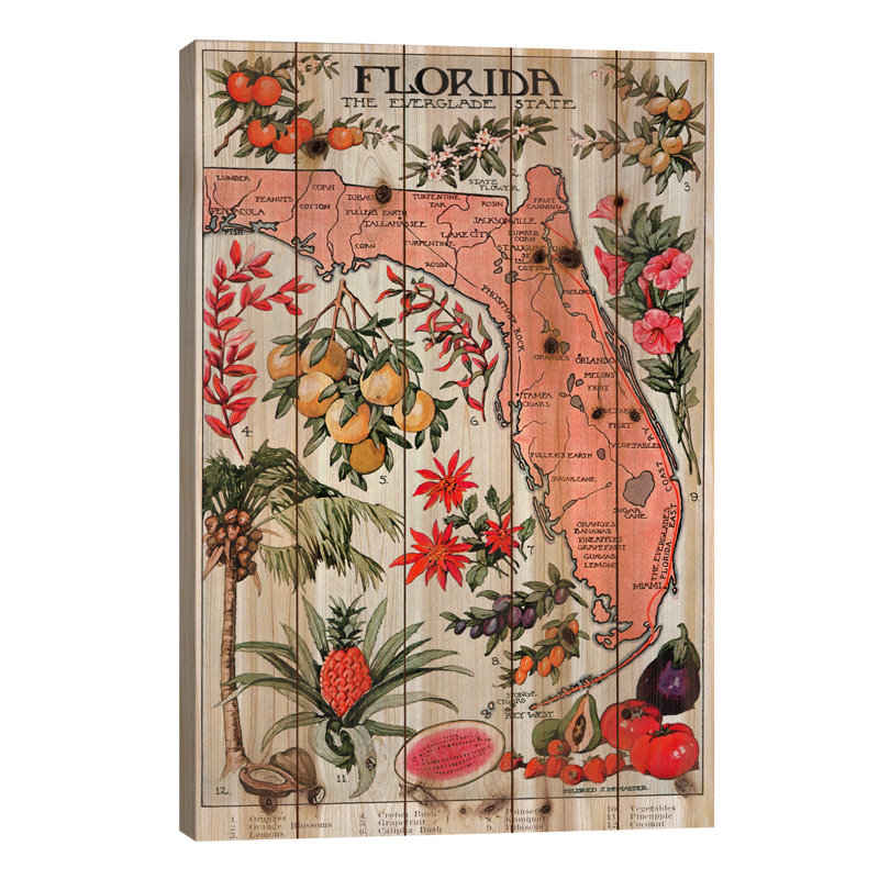 Carte de l'État de la Floride (ressources naturelles) - affiche rétro - impression d'art graphique