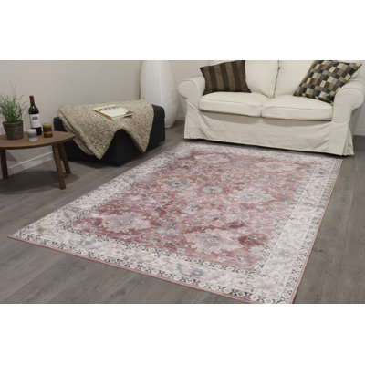 Amadi Oriental Area Rug