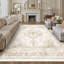 Oriental Area Rug-799655171-553023917