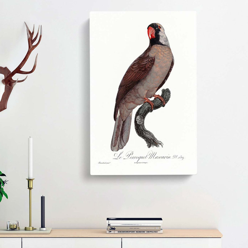 Mascarine Parrot by F. Levaillant - Wrapped Canvas, 60cm H x 40cm W x 3cm D