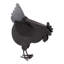 POULE AVEC SCULPTURE DE POUSSINS