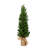 34'' Faux Cypress Tree