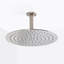 Metro Sharp Nozzles Shower Head - Wall Or Ceiling Mount - 12" Stainless Steel/Satin Brass-1449290340