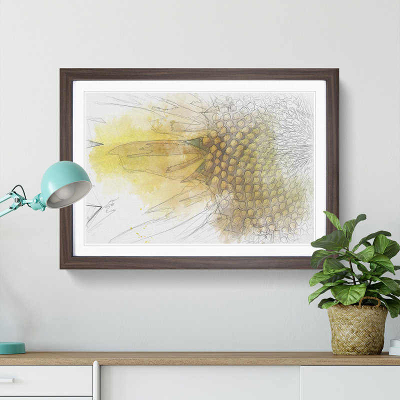 Petals of the Yellow Sunflower Sketch - Picture Frame Graphic Art Print, 40cm H x 60cm W x 2cm D, Walnut Framed