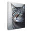 «Cat Portrait» par Carla Kurt - reproduction-31877242