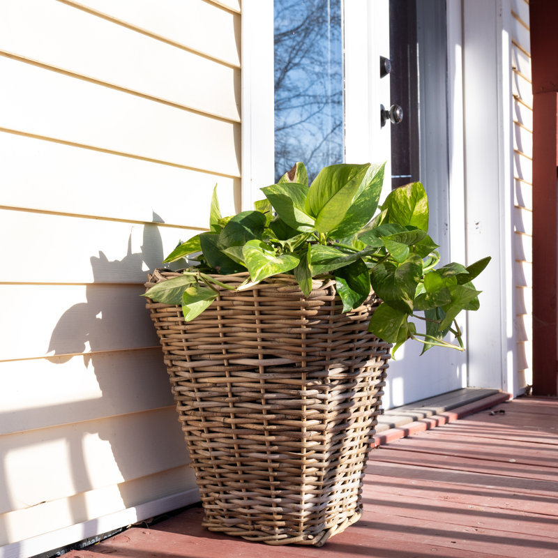 Square Tapered Planter with Black Plastic Insert