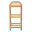 Bourbeau 40cm W Rattan Shelving Unit