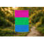 Drapeau de la fierté polysexuelle - drapeau extérieur-401491209