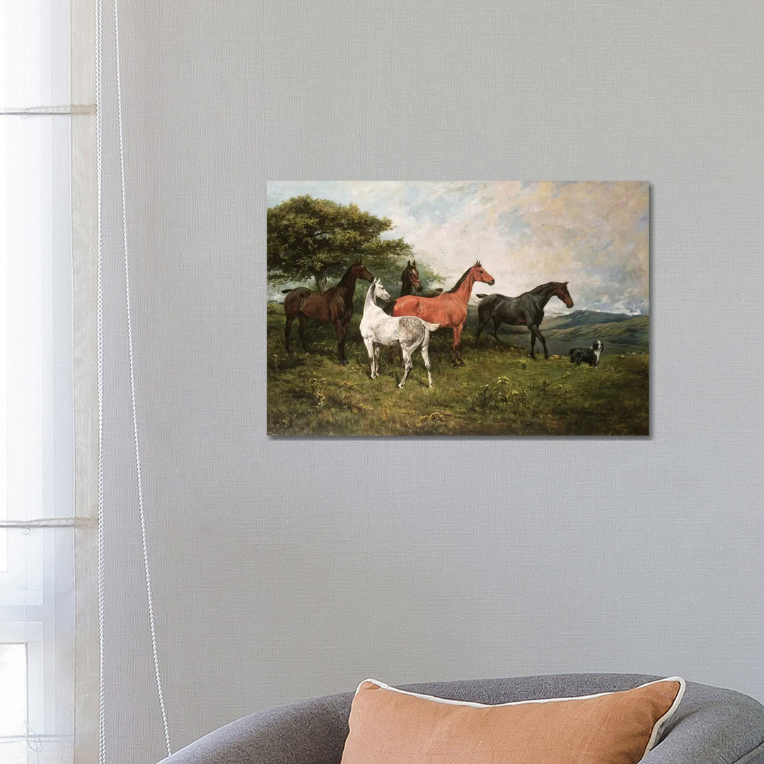Mares And Foal With A Sheepdog by John Emms - Wrapped Canvas Painting