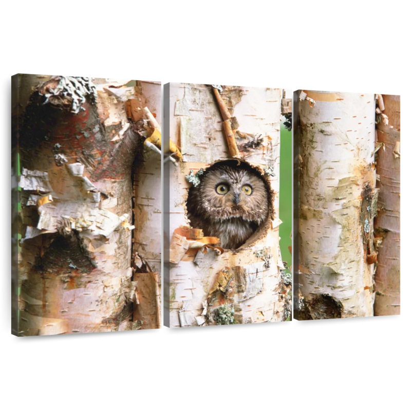 Brampt Owl In Tree Hole, 42" H x 65" W