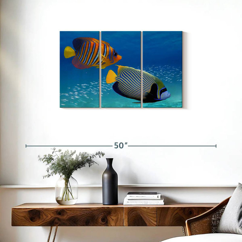 Poisson-ange exotique empereur, H 20 po x l 33 po