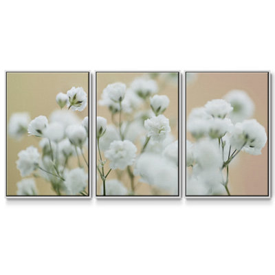 " Baby's Breath Study II " 3 - Pieces