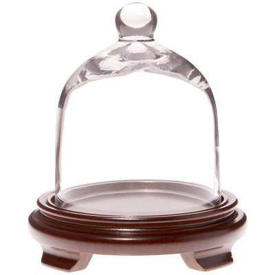 5" x 6" Bell Jar Glass Display Dome Cloche