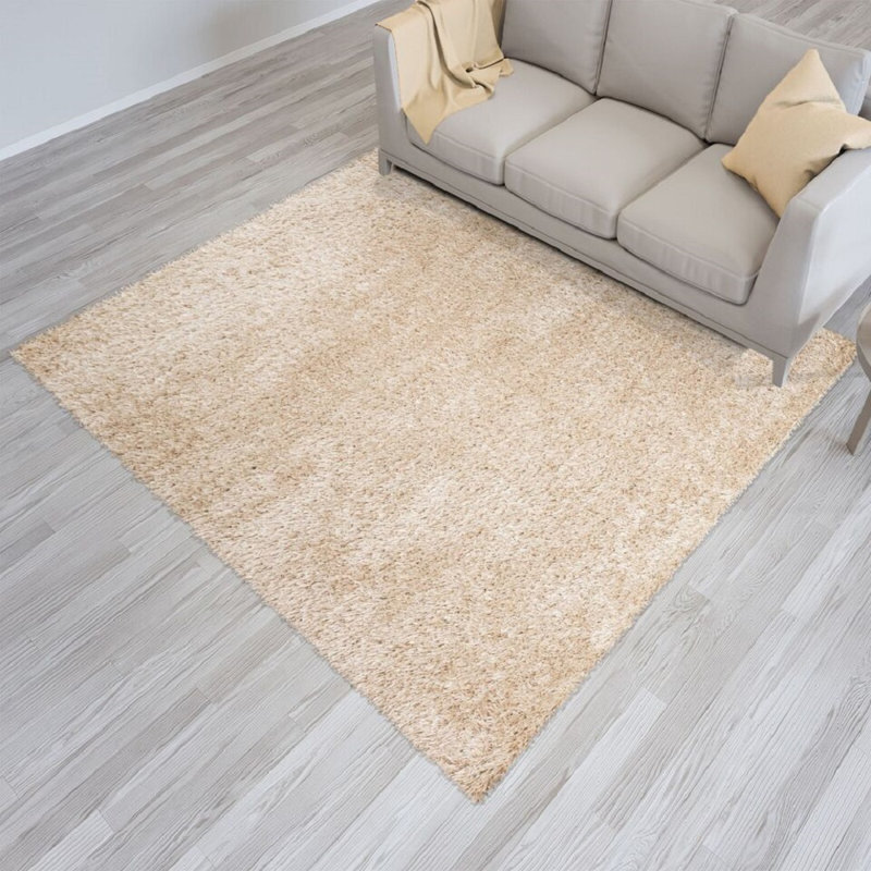 Padowski Shag Area Rug, Rectangle 60 x 110cm