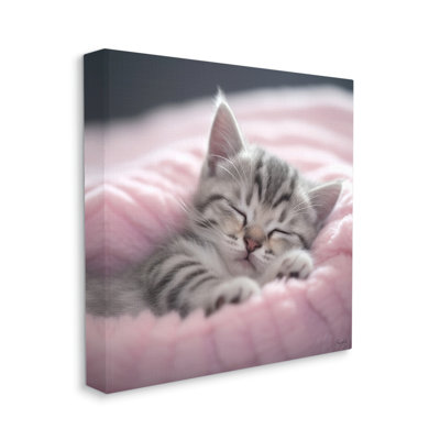 Chaton doux rentré par Roozbeh