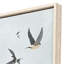 Swifts Print Nai Paragon