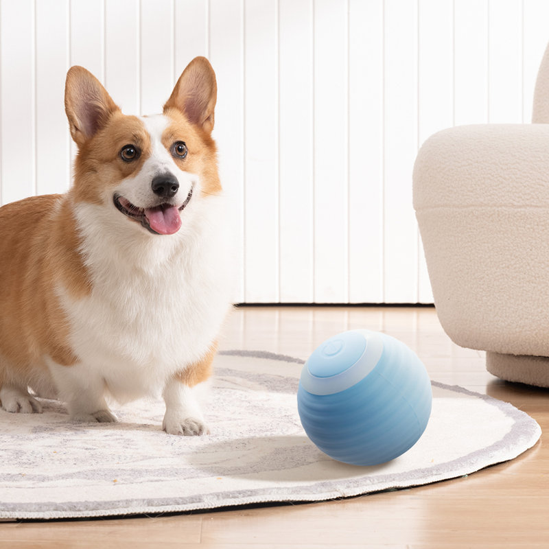 2Pcs Rechargeable Interactive Cat Toy Balls