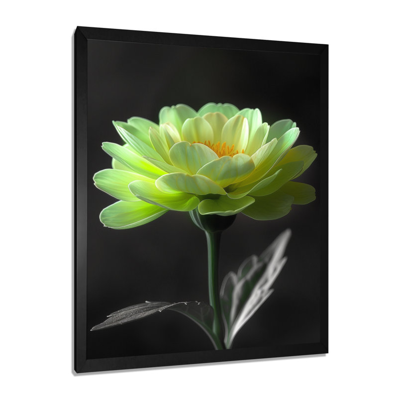 Vert, noir, jardin, glamour, souci, art mural, H 12 po x l 20 po, Cadre simple noir, bois massif