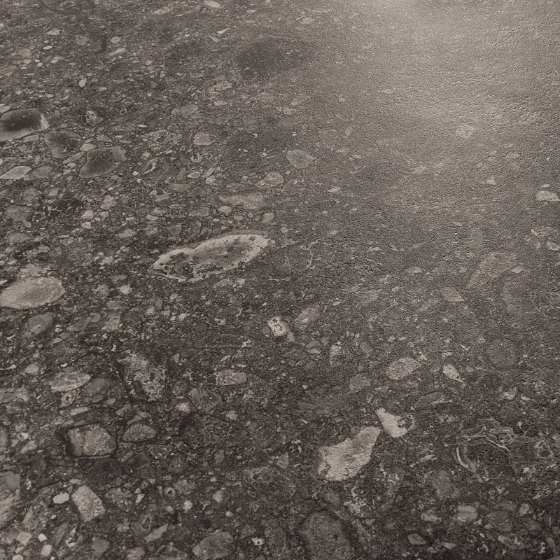 Rizo 48x48 Matte Terrazzo Look Porcelain Tile, Charcoal