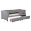 Lit de jour simple tapissier avec dossier ergonomique et 2 tiroirs, gris-632310186