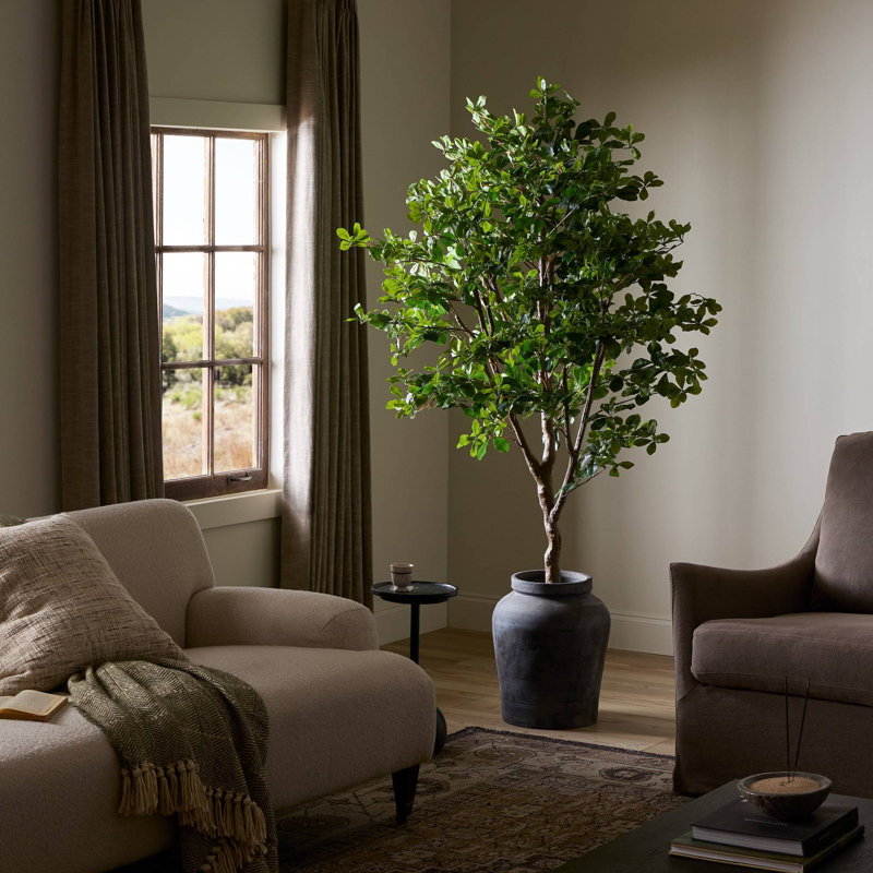 Faux Aralia Faux Foliage Tree in Pot, 75" H x 47" W