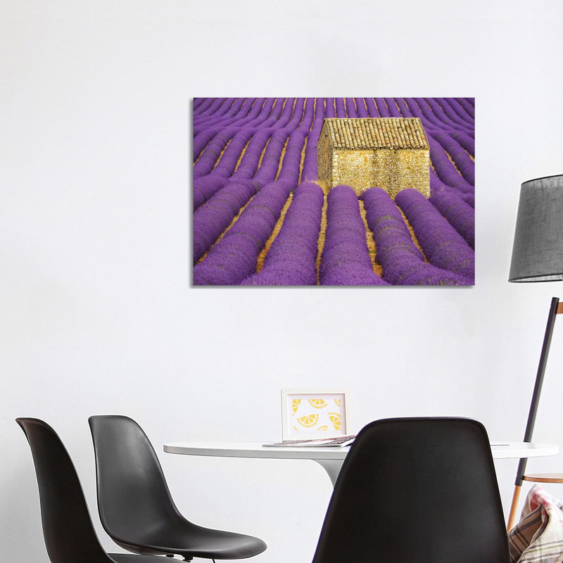 France, Provence, Valensole Plateau. Lavender Crop Surrounds Stone Hut. by Jaynes Gallery - Wrapped Canvas Print