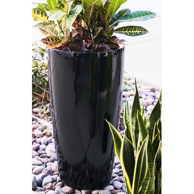 Pot de fleurs en plastique avec réservoir