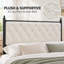Upholstered Bed
