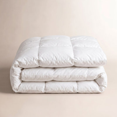 Extra Warm Premium Down Alternative Duvet Comforter Insert