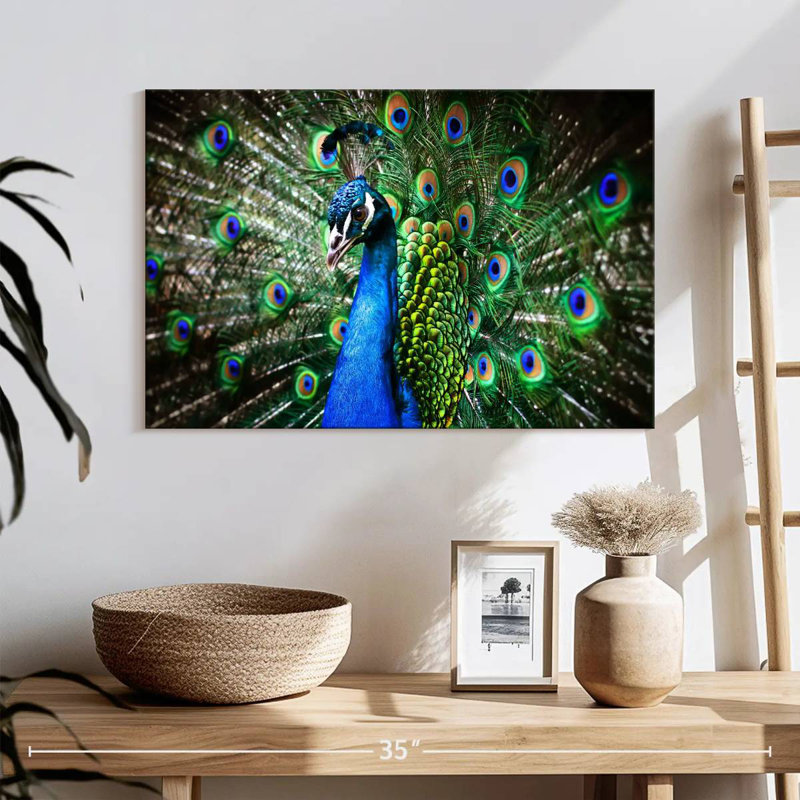 Brampt Peacock Show, 16" H x 24" W