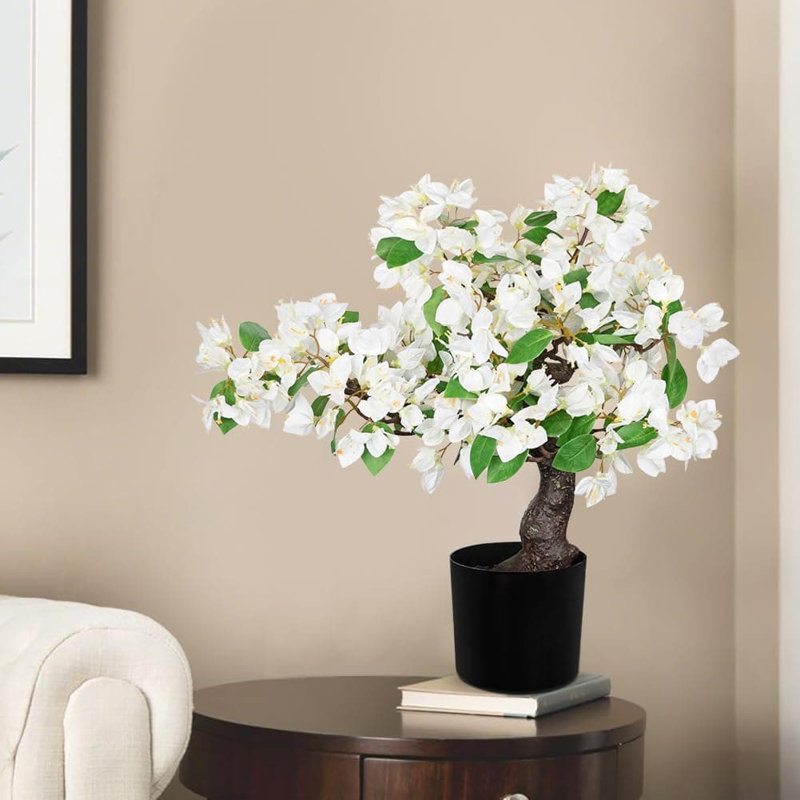52.83cm Plant