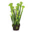 Faux Tulip Plant-1998944430