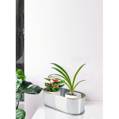 Jardinière ovale en acier Ebern Designs