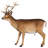 Forest Tailed Buck Male Deer Statue