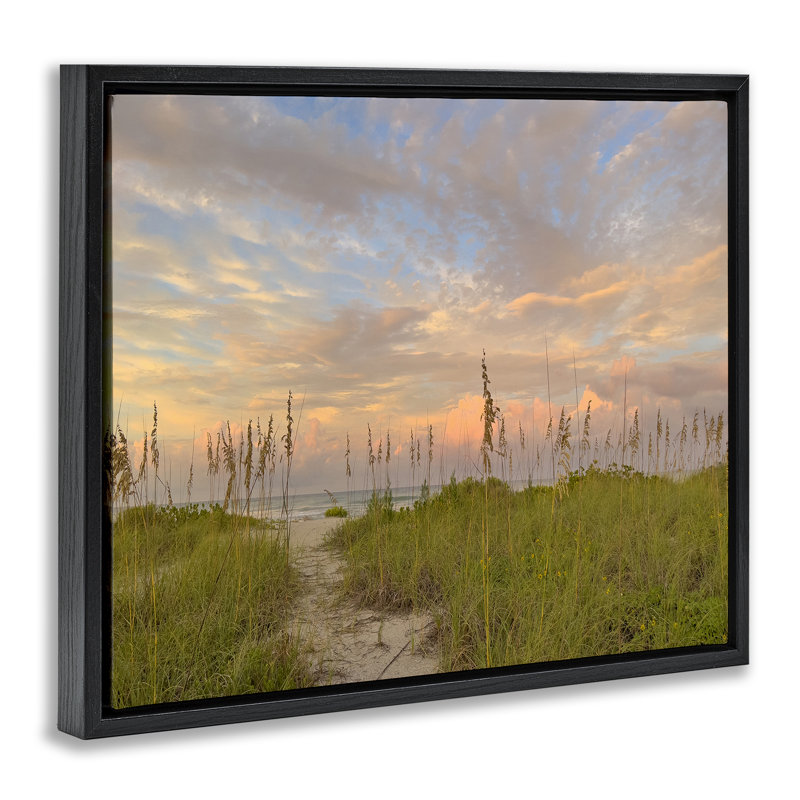 Cadre flottant Serene Coastal Path, Cadre flottant noir de jais, H 17 po x l 21 po