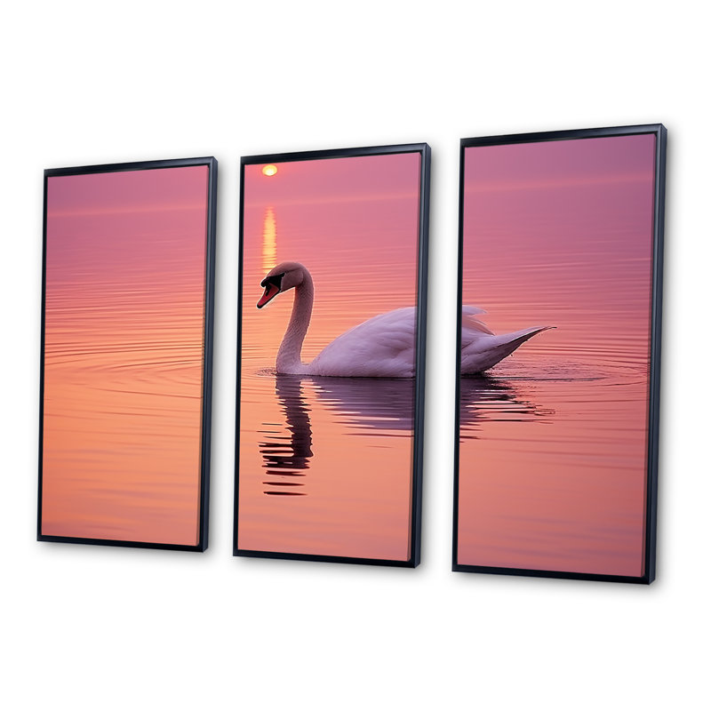 Corail, cygne au crépuscule I - cygne, ensemble d'art sur toile, Cadre flottant noir, H 28 po x l 36 po