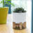 Darci Stoneware Ceramic Planter with Stand - Textured Decorative Plant Pot with Bamboo Base - Modern Indoor/Outdoor Raised Planter-1368685372