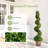 47 " H Faux Boxwood Topiary