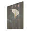 Calla Lily au clair de lune magique - lys, art mural sur bois de pin naturel-516644508