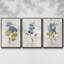 Lin bleu géranium 3 pièces-97758298-97758292