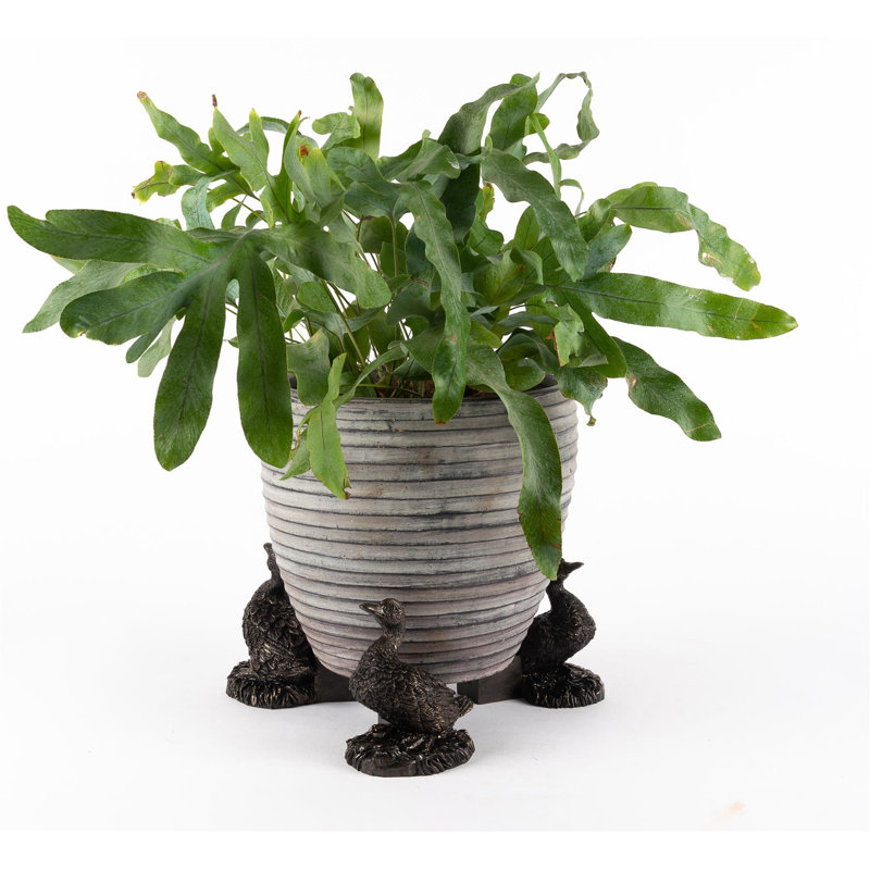 Aloysius Weather Resistant Planter Feet