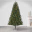 7.5 Ft. Pre Lit Color Changing Led Sacremento Spruce Tree