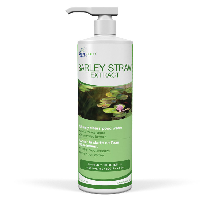 Barley Straw Extract for Ponds, 9" H x 2.5" W x 3" D
