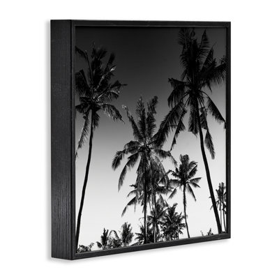 Palm Sunset Stark Contrast Framed Giclee, design by Danita Delimont