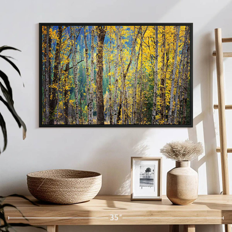 Kootenay Fall II, Cadre flottant noir, 25 po x 17 po
