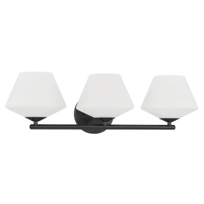 Hunter Celestial Valley 3 Light Bathroom Vanity Wall Light Fixture