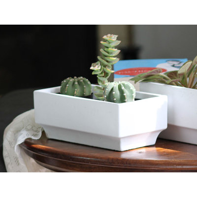 Boîte rectangulaire décorative en béton (paquet de 8) - Intérieur/Extérieur