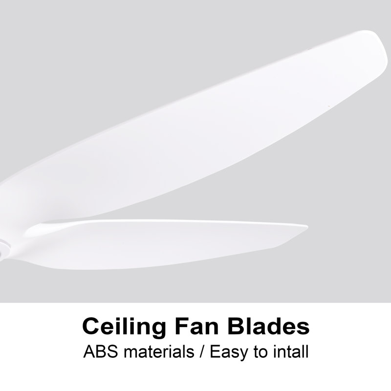 Dainius 60'' Ceiling Fan with LED Lights, White