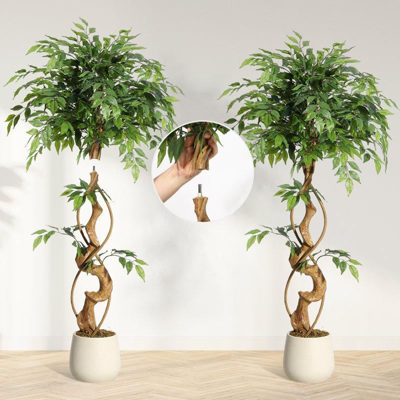 Plant, 120cm H x 20cm W x 20cm D