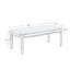 Table basse à miroir argenté avec pieds sculptés rétro, centre de table rectangulaire en verre pour un décor de salon moderne